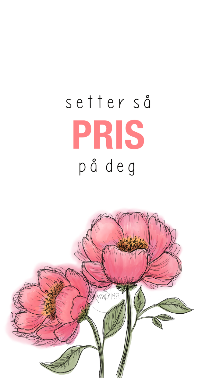 Pris på deg
