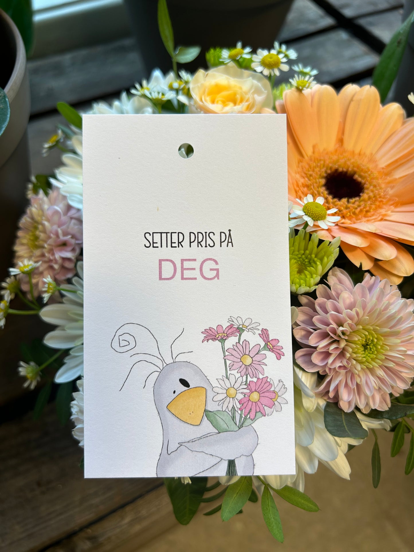 Setter pris på deg fugl