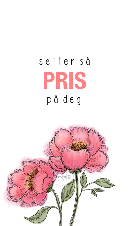 Pris på deg
