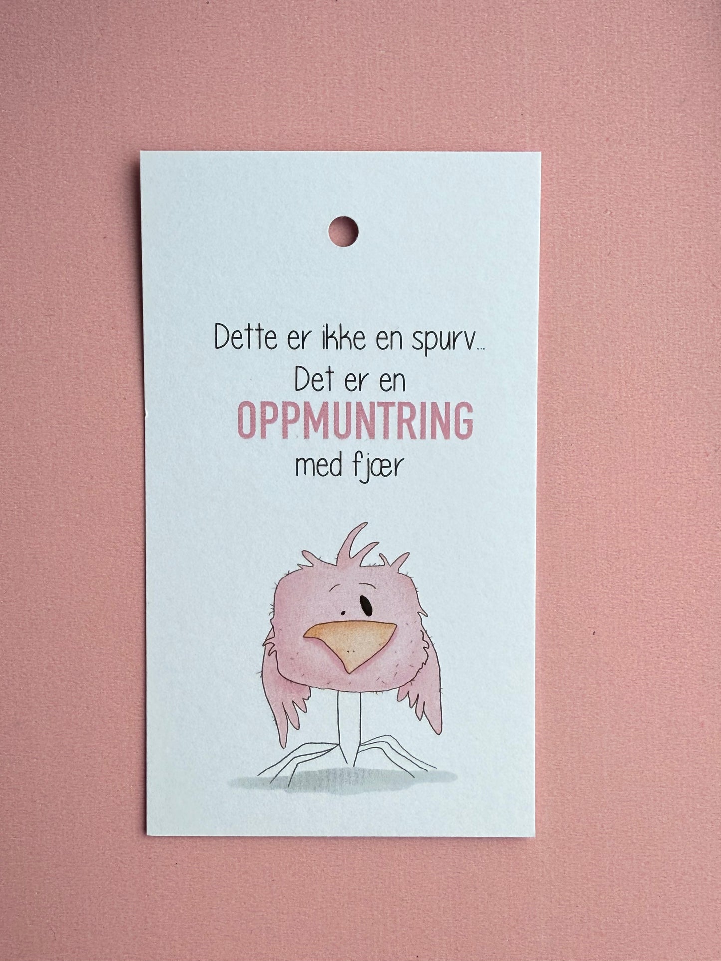 Oppmuntringsfugl
