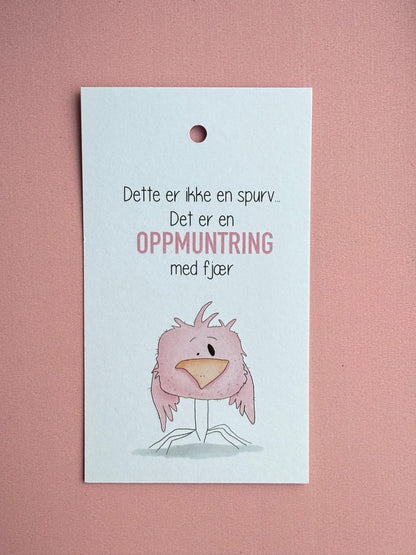 Oppmuntringsfugl