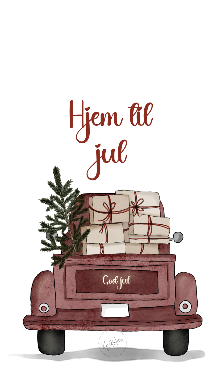 Hjem til jul