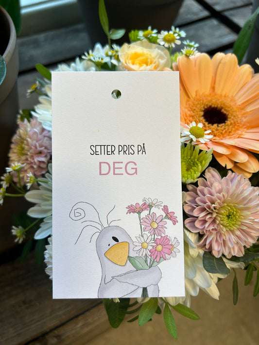 Setter pris på deg fugl
