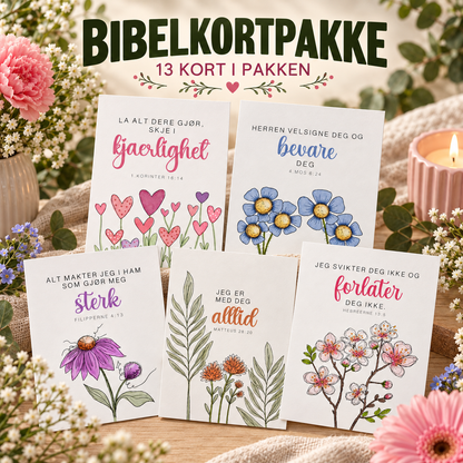 Bibelkortpakke - 13 kort