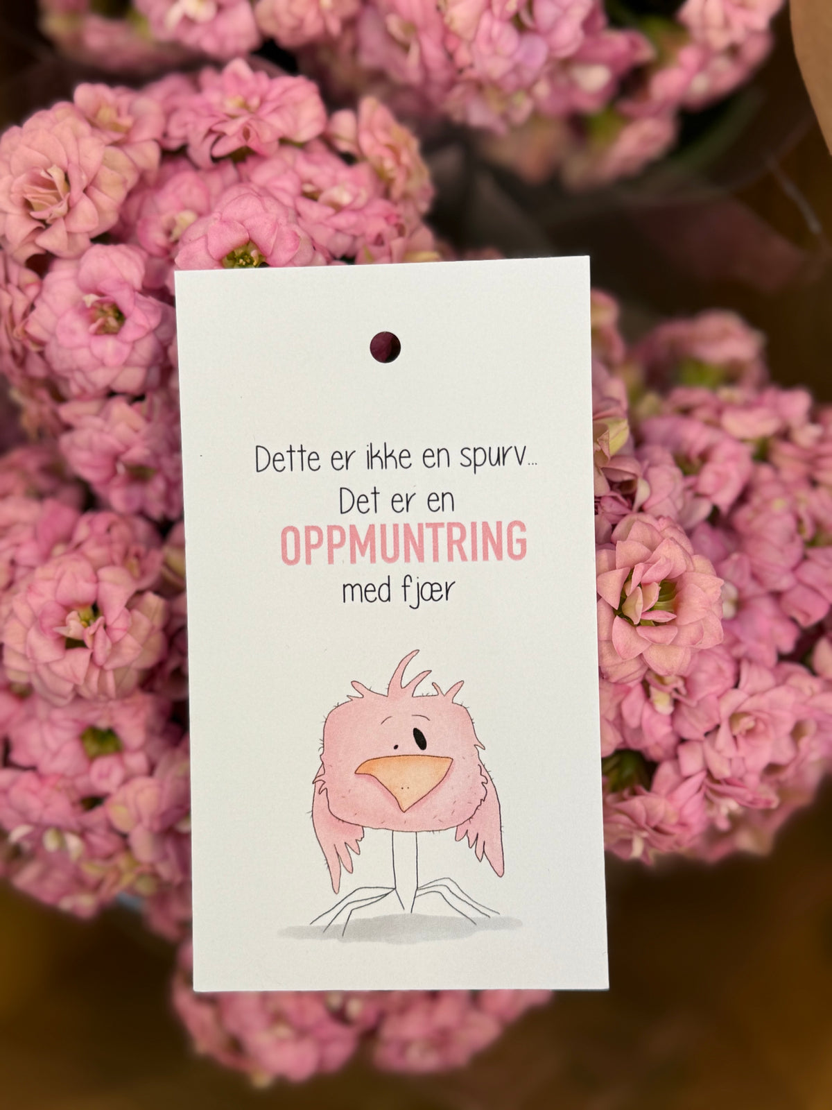 Oppmuntringsfugl