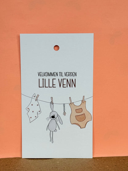 Lille venn