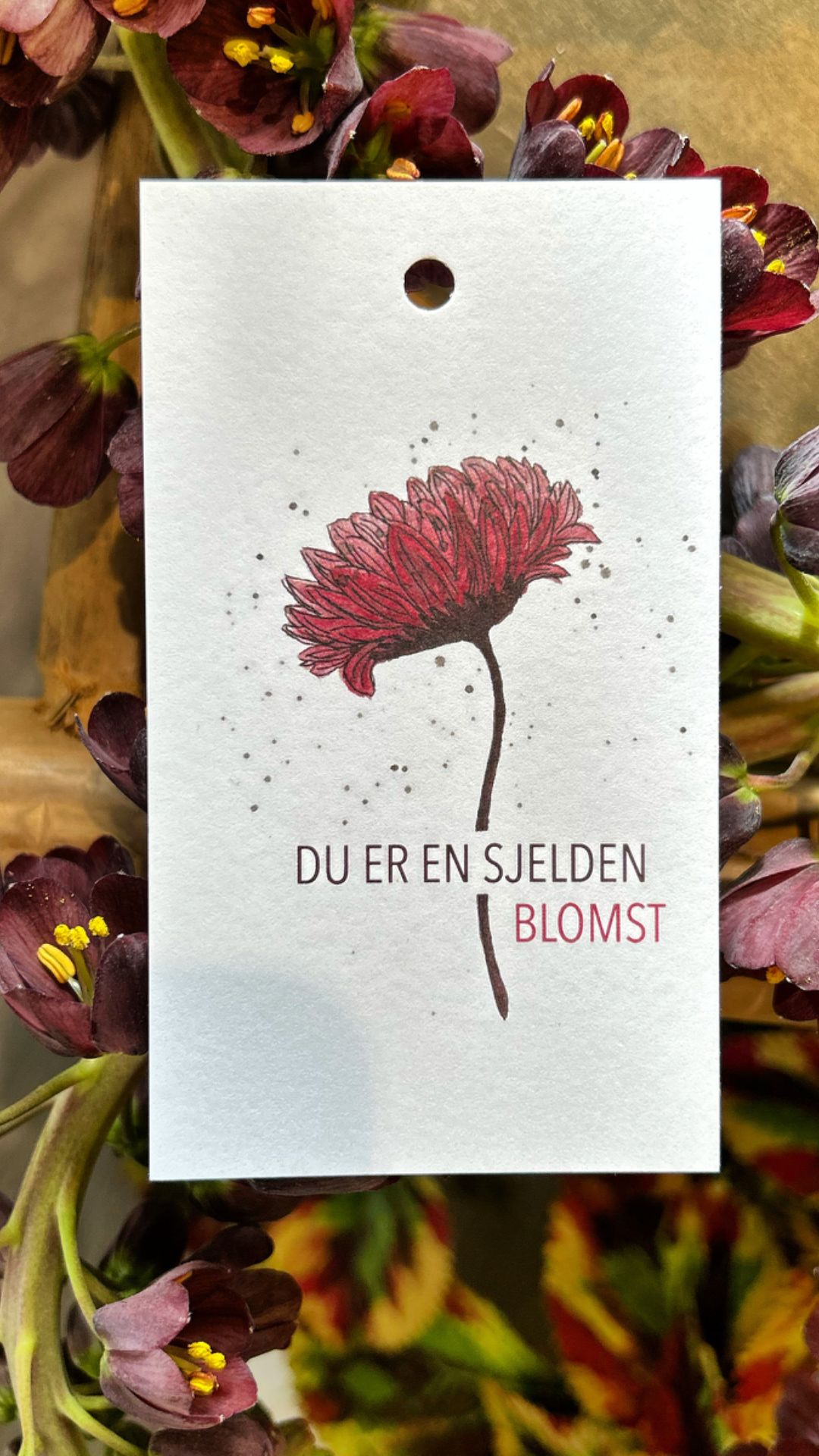 Du er en sjelden blomst