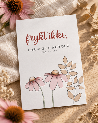 Bibelkortpakke - 13 kort