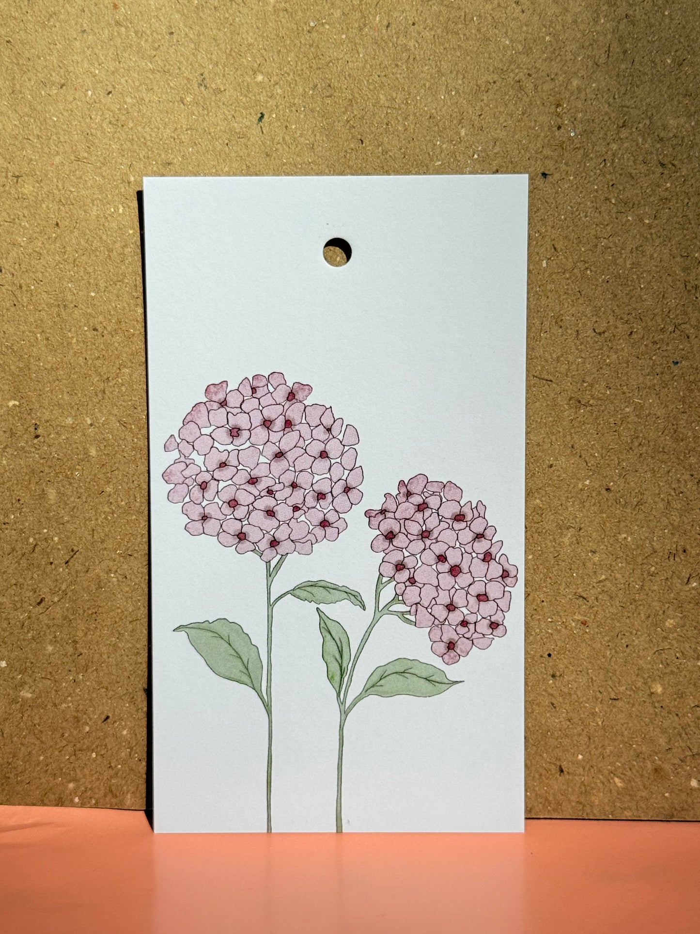 Hortensia
