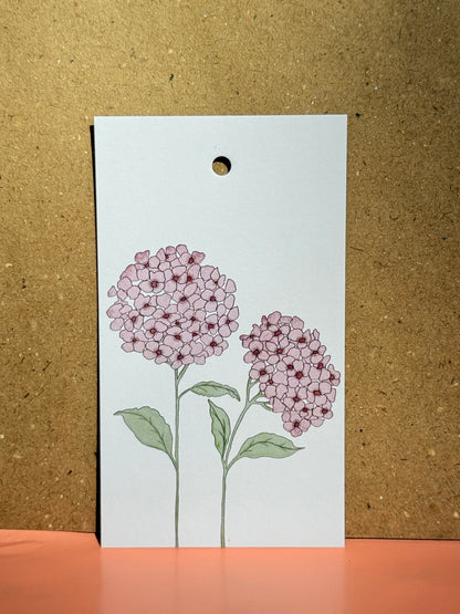 Hortensia