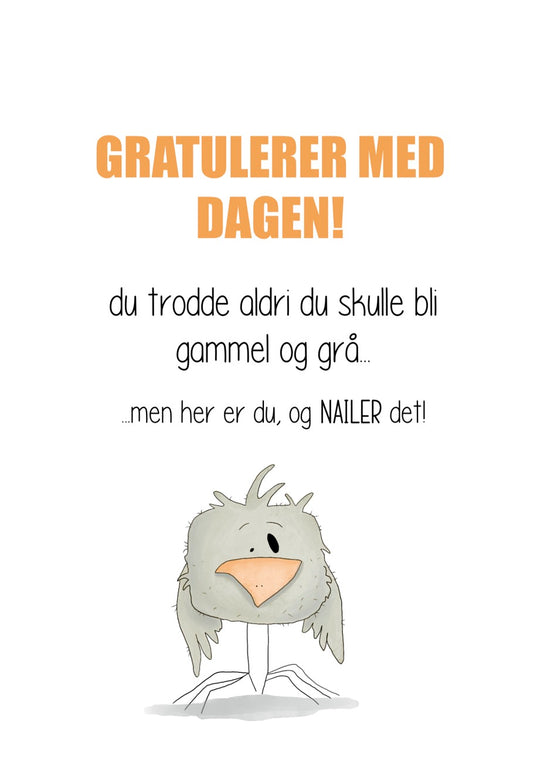 Nailer det