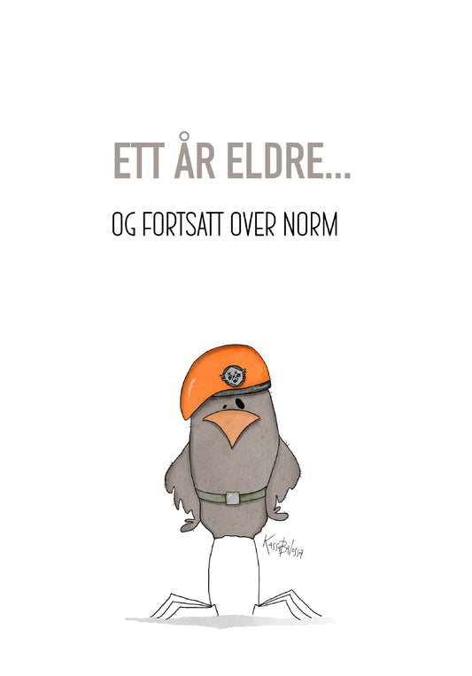 Over norm